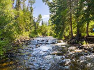 Experience the tranquility of this stunning property, featuring a picturesque river flowing through lush greenery.
