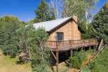 Nestled amidst lush greenery, this charming wooden cabin offers a serene retreat.
