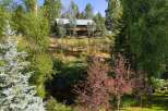 Nestled amidst lush greenery and mature trees, this charming home offers a serene retreat.