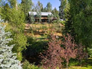 Nestled amidst lush greenery and mature trees, this charming home offers a serene retreat.