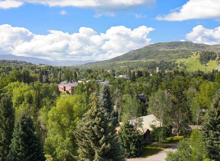 Nestled amidst lush greenery and mature trees, this property offers a serene escape with breathtaking mountain views.