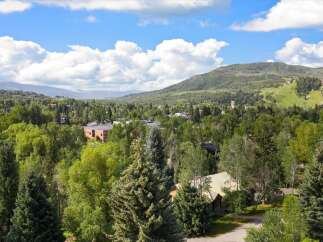 Nestled amidst lush greenery and mature trees, this property offers a serene escape with breathtaking mountain views.