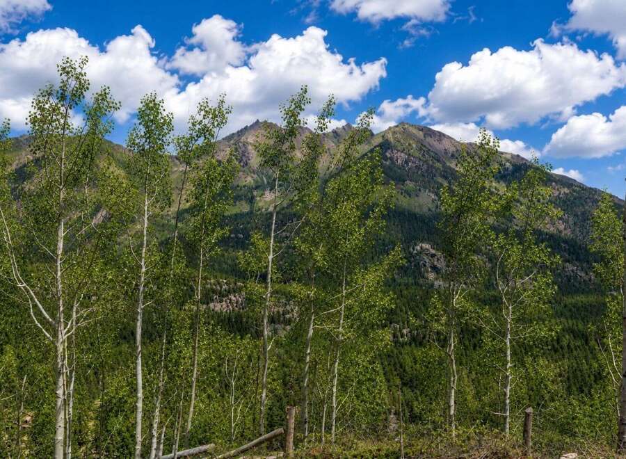 Escape to this stunning mountain property, offering breathtaking panoramic views of rugged peaks and lush green forests.