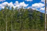 Escape to this stunning mountain property, offering breathtaking panoramic views of rugged peaks and lush green forests.