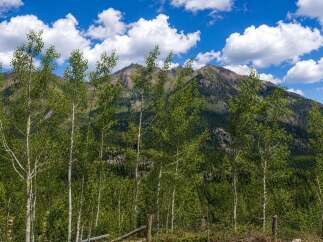 Escape to this stunning mountain property, offering breathtaking panoramic views of rugged peaks and lush green forests.