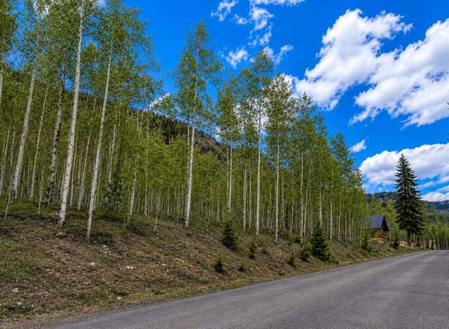 Escape to this secluded mountain retreat, nestled amidst a serene aspen grove.