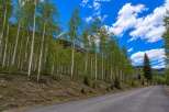 Escape to this secluded mountain retreat, nestled amidst a serene aspen grove.