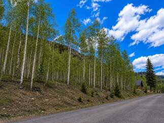 Escape to this secluded mountain retreat, nestled amidst a serene aspen grove.