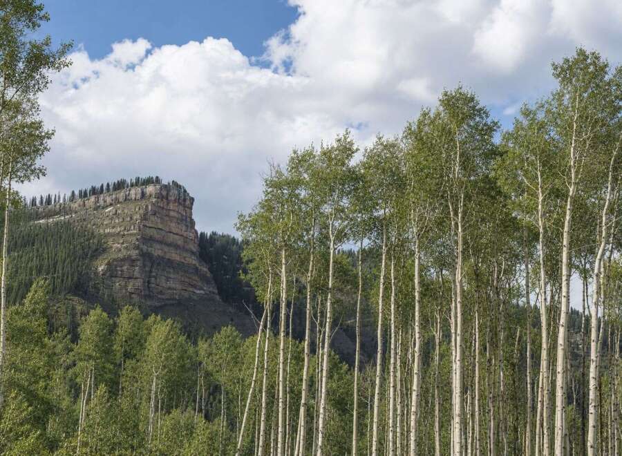 Discover a serene mountain escape with this stunning property, featuring a majestic mesa backdrop and a lush forest of aspen trees.