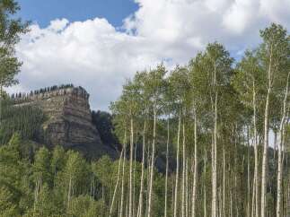 Discover a serene mountain escape with this stunning property, featuring a majestic mesa backdrop and a lush forest of aspen trees.
