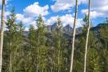 Experience the tranquility of mountain living with this stunning property, nestled amidst a grove of mature aspen trees.