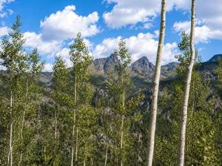 Experience the tranquility of mountain living with this stunning property, nestled amidst a grove of mature aspen trees.