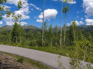 Discover the allure of mountain living with this stunning property, featuring a paved road leading through a serene forest of birch trees.