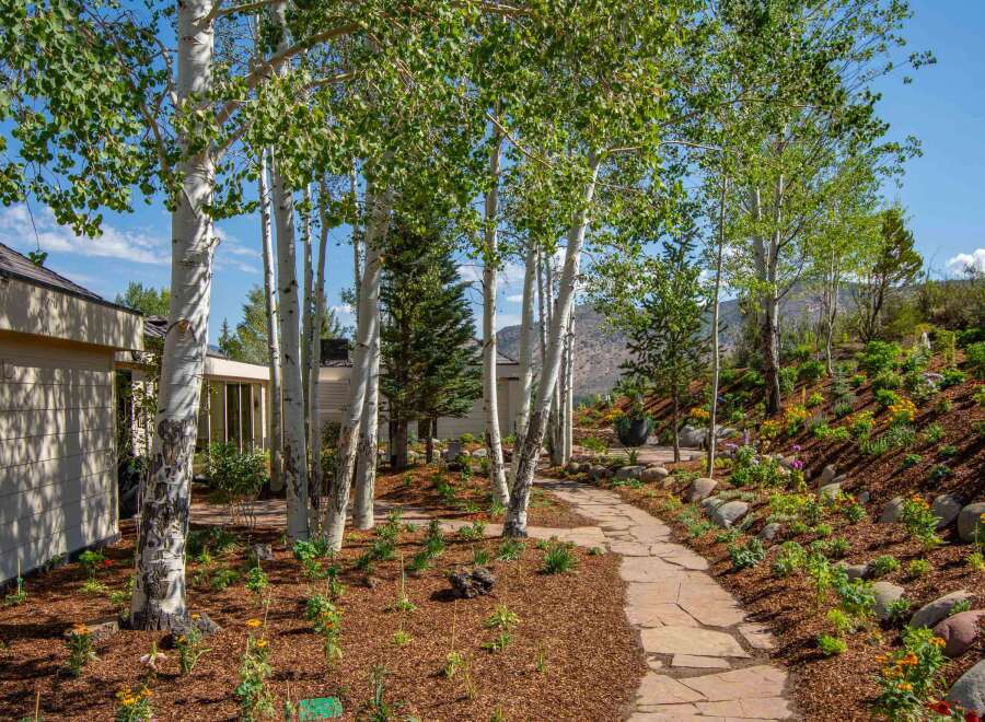 Discover a stunning mountain retreat featuring a beautifully landscaped yard with a flagstone pathway winding through mature aspen trees and vibrant perennial gardens.