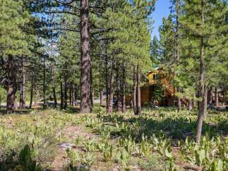 Nestled amidst a serene pine forest, this charming wooden home offers a tranquil retreat.