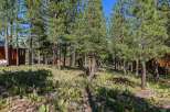 Nestled amidst a serene pine forest, this property offers a tranquil escape with its charming cabin-style architecture.