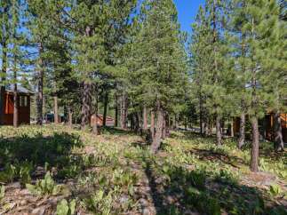 Nestled amidst a serene pine forest, this property offers a tranquil escape with its charming cabin-style architecture.