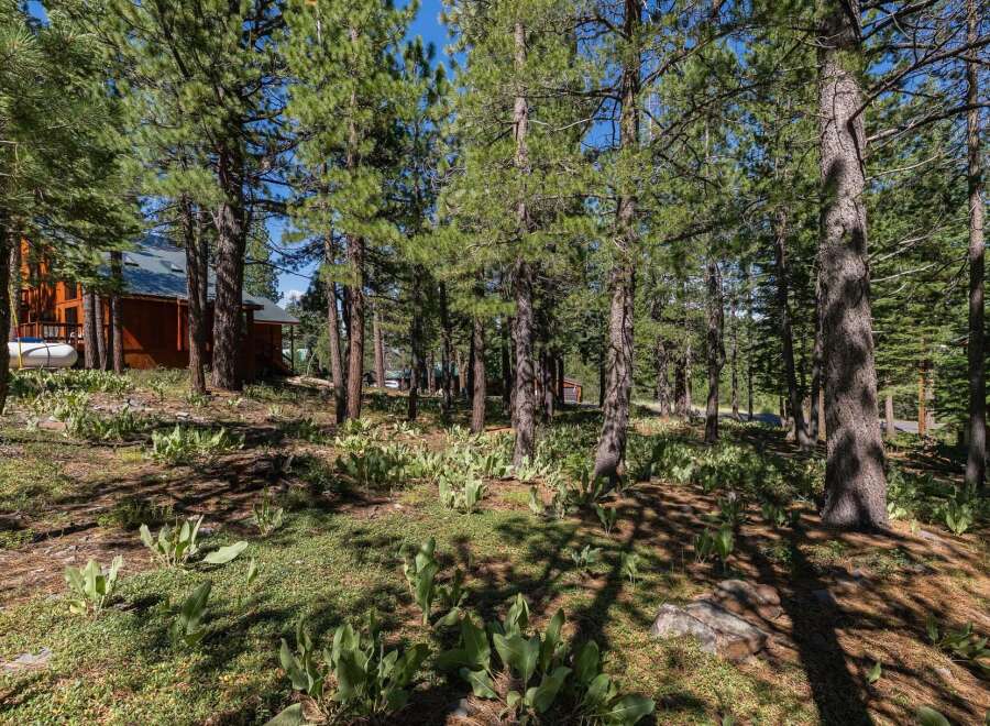 Nestled among tall pine trees, this property offers a serene and private setting.