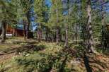 Nestled among tall pine trees, this property offers a serene and private setting.