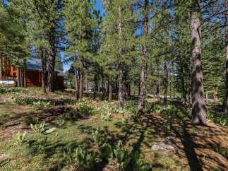 Nestled among tall pine trees, this property offers a serene and private setting.