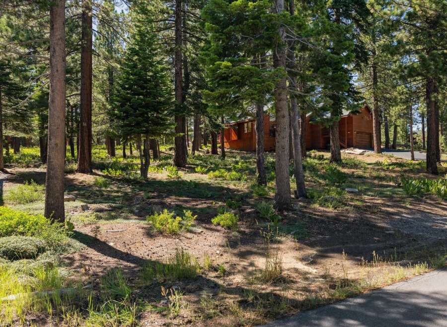 Nestled amongst tall pine trees, this charming wooden home offers a serene retreat.
