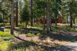 Nestled amongst tall pine trees, this charming wooden home offers a serene retreat.