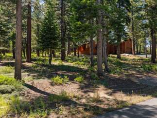 Nestled amongst tall pine trees, this charming wooden home offers a serene retreat.