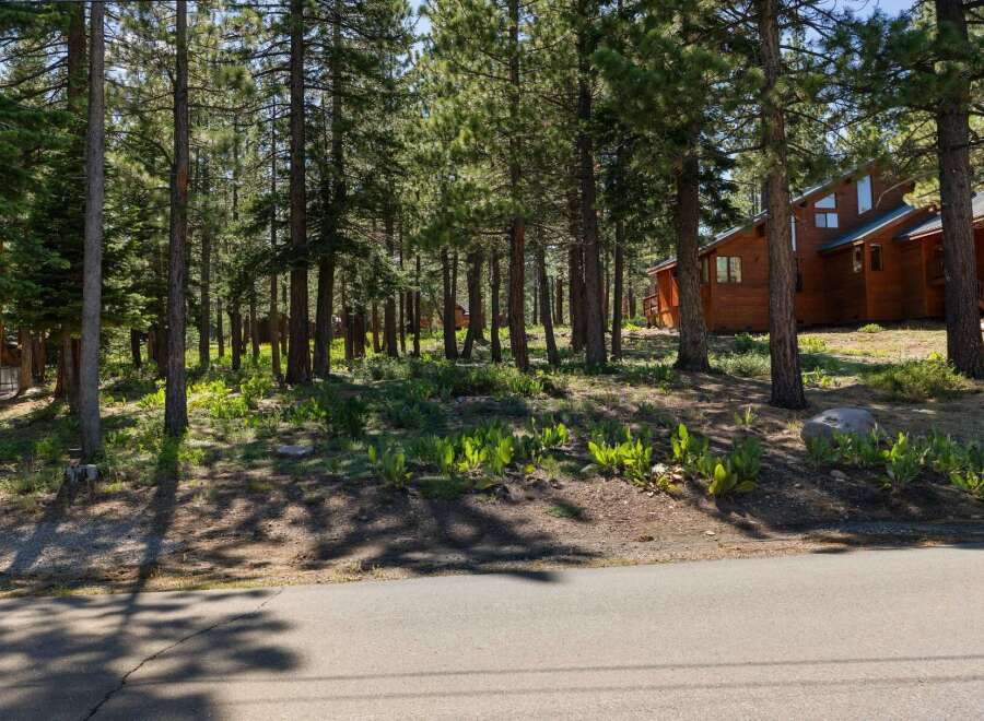 Nestled amongst tall pine trees, this charming wooden home offers a serene retreat.