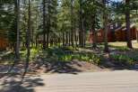 Nestled amongst tall pine trees, this charming wooden home offers a serene retreat.
