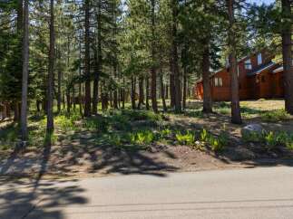 Nestled amongst tall pine trees, this charming wooden home offers a serene retreat.