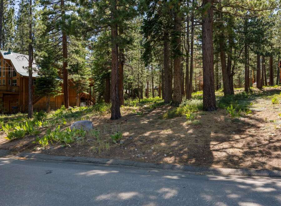 Nestled amongst tall pine trees, this charming wooden cabin offers a serene mountain retreat.