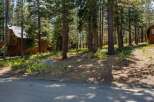 Nestled amongst tall pine trees, this charming wooden cabin offers a serene mountain retreat.
