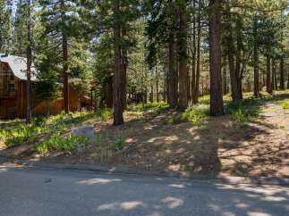 Nestled amongst tall pine trees, this charming wooden cabin offers a serene mountain retreat.