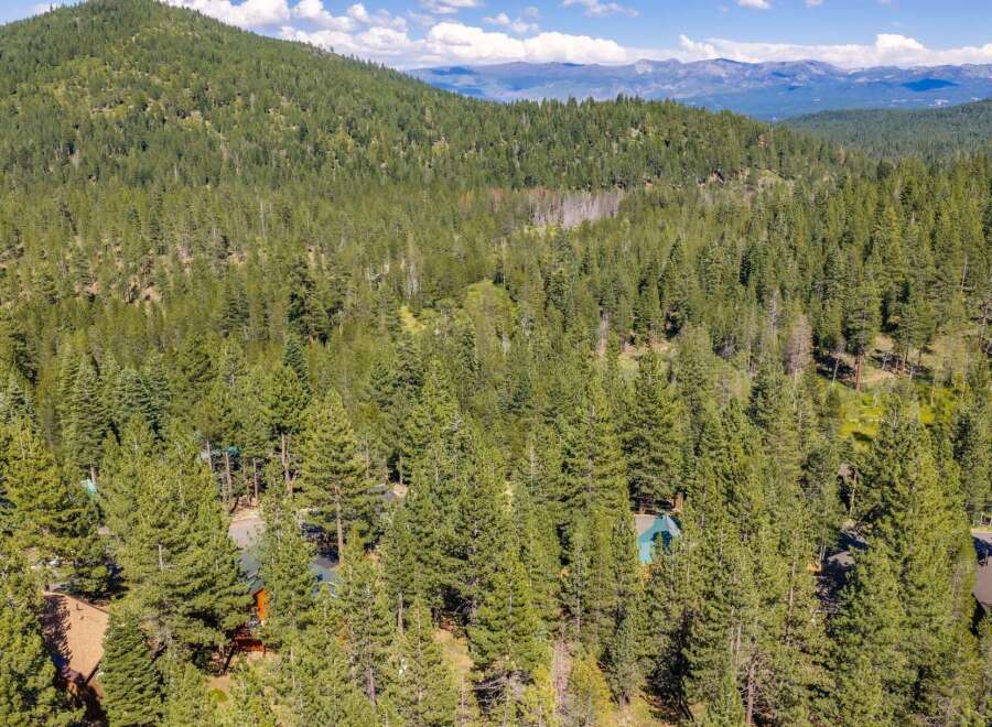 Nestled amidst a dense forest of towering pine trees, this property offers a serene and private retreat.