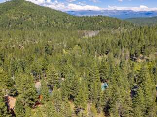 Nestled amidst a dense forest of towering pine trees, this property offers a serene and private retreat.