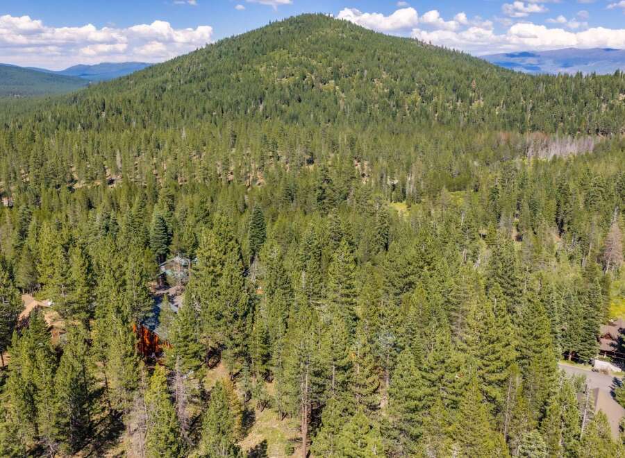 Nestled amidst a dense forest of mature pine trees, this property offers a secluded and serene mountain retreat.
