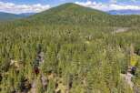Nestled amidst a dense forest of mature pine trees, this property offers a secluded and serene mountain retreat.