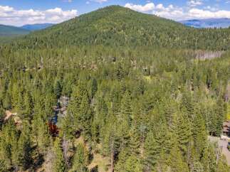 Nestled amidst a dense forest of mature pine trees, this property offers a secluded and serene mountain retreat.
