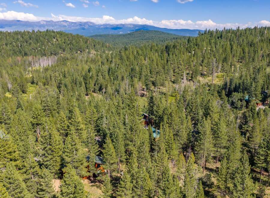 Nestled amidst a dense forest of towering pine trees, this property offers a secluded and serene mountain retreat.