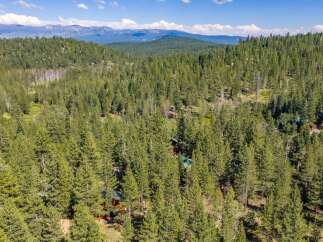 Nestled amidst a dense forest of towering pine trees, this property offers a secluded and serene mountain retreat.