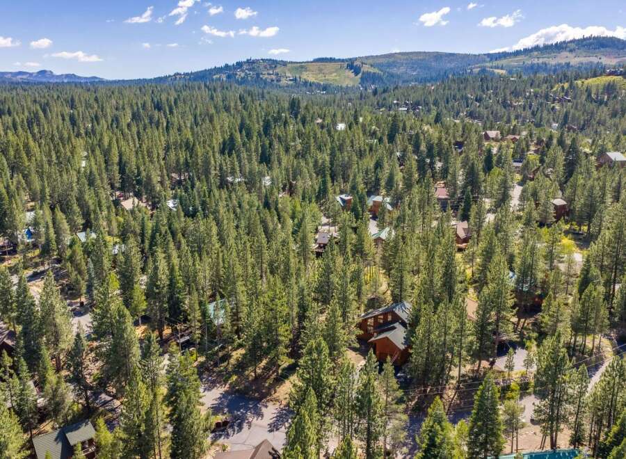Nestled amidst a dense forest of tall pine trees, this aerial view showcases a charming neighborhood of rustic cabins.
