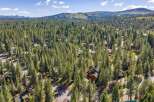 Nestled amidst a dense forest of tall pine trees, this aerial view showcases a charming neighborhood of rustic cabins.