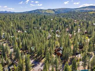 Nestled amidst a dense forest of tall pine trees, this aerial view showcases a charming neighborhood of rustic cabins.