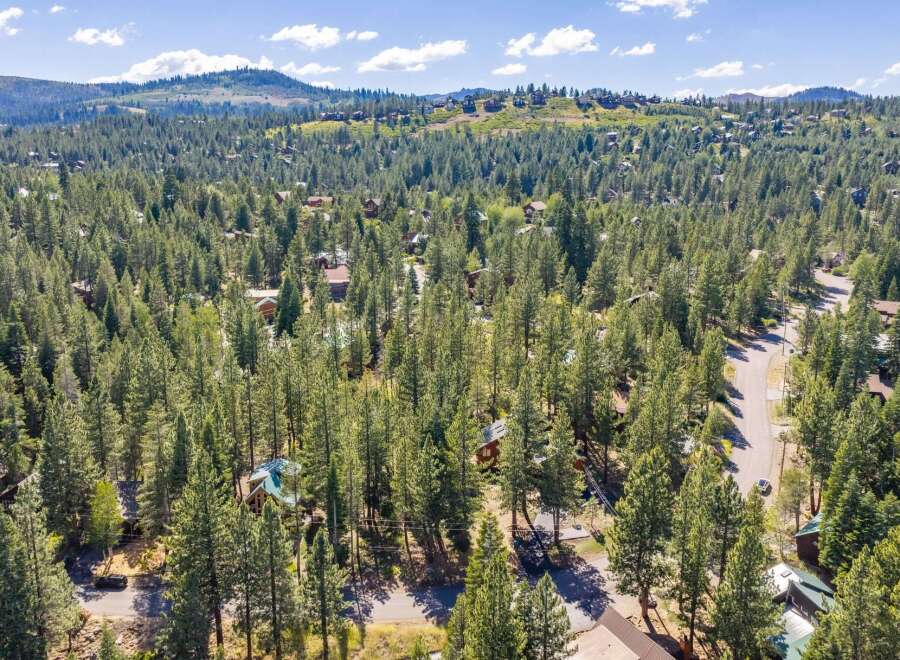 Discover this stunning aerial view of a picturesque neighborhood nestled within a dense forest.