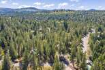 Discover this stunning aerial view of a picturesque neighborhood nestled within a dense forest.