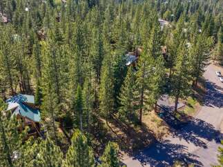Nestled amidst a dense forest of mature pine trees, this property offers a secluded mountain retreat.