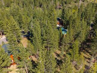 Nestled within a dense forest of tall pine trees, this property offers a secluded mountain retreat.