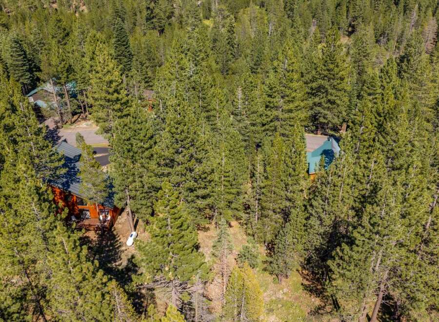 Nestled amidst a dense forest of mature pine trees, this property offers a secluded mountain retreat.