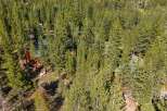 Nestled amidst a dense forest of mature pine trees, this property offers a secluded and tranquil retreat.
