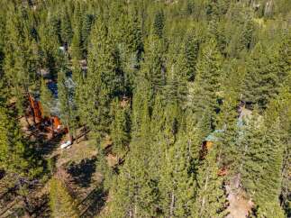 Nestled amidst a dense forest of mature pine trees, this property offers a secluded and tranquil retreat.